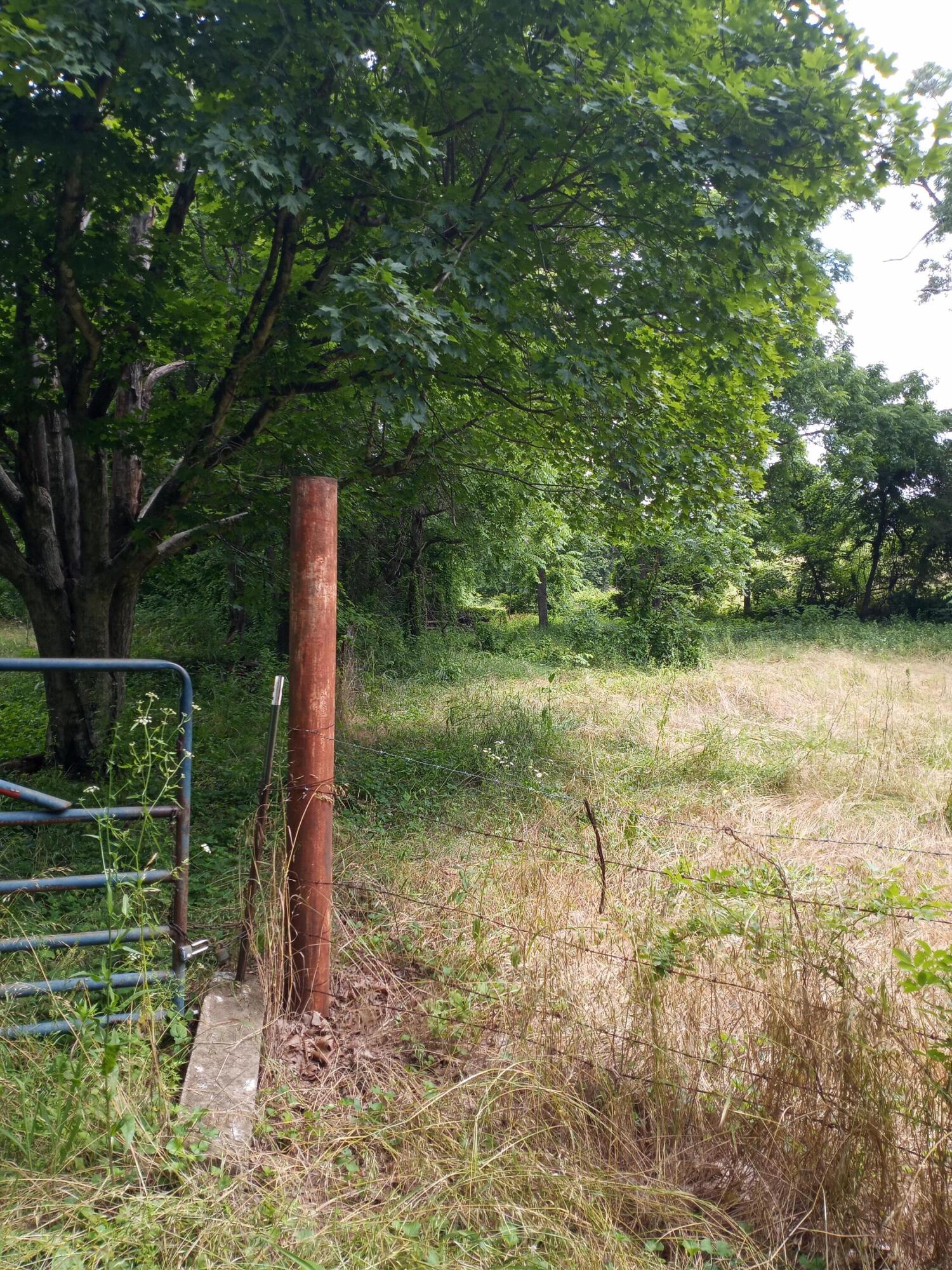 15734 Farm Road 2140 - Photo 4