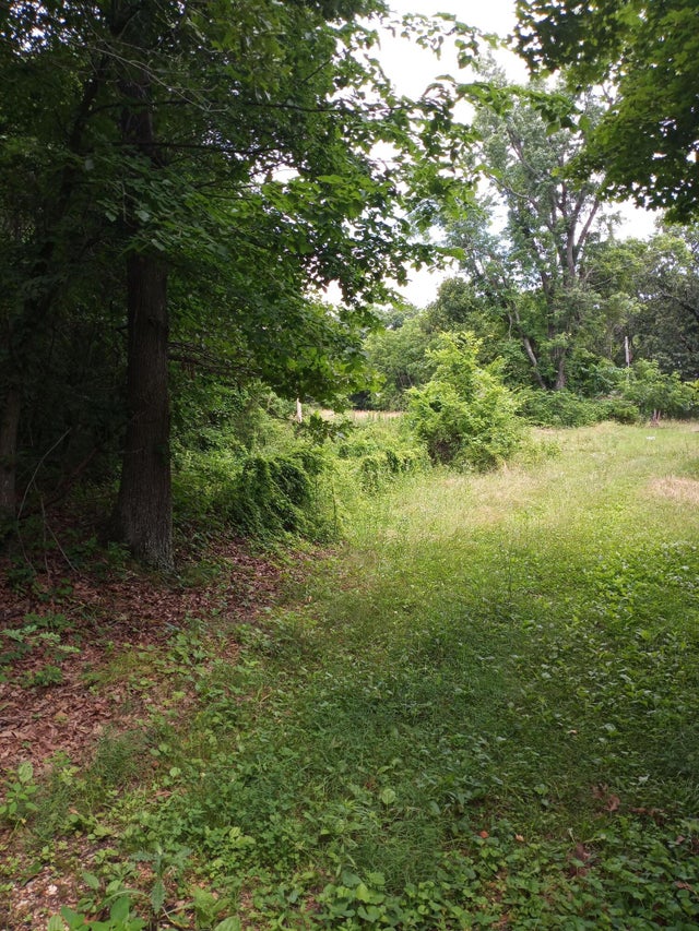 15734 Farm Road 2140