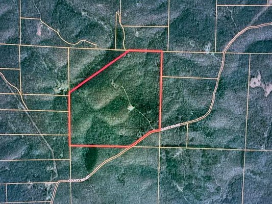 632 PRIVATE ROAD 421-35, WEST PLAINS, MO 65775 - Image 34945e427feccc5a4142f7cab2c6d9af/1342219613