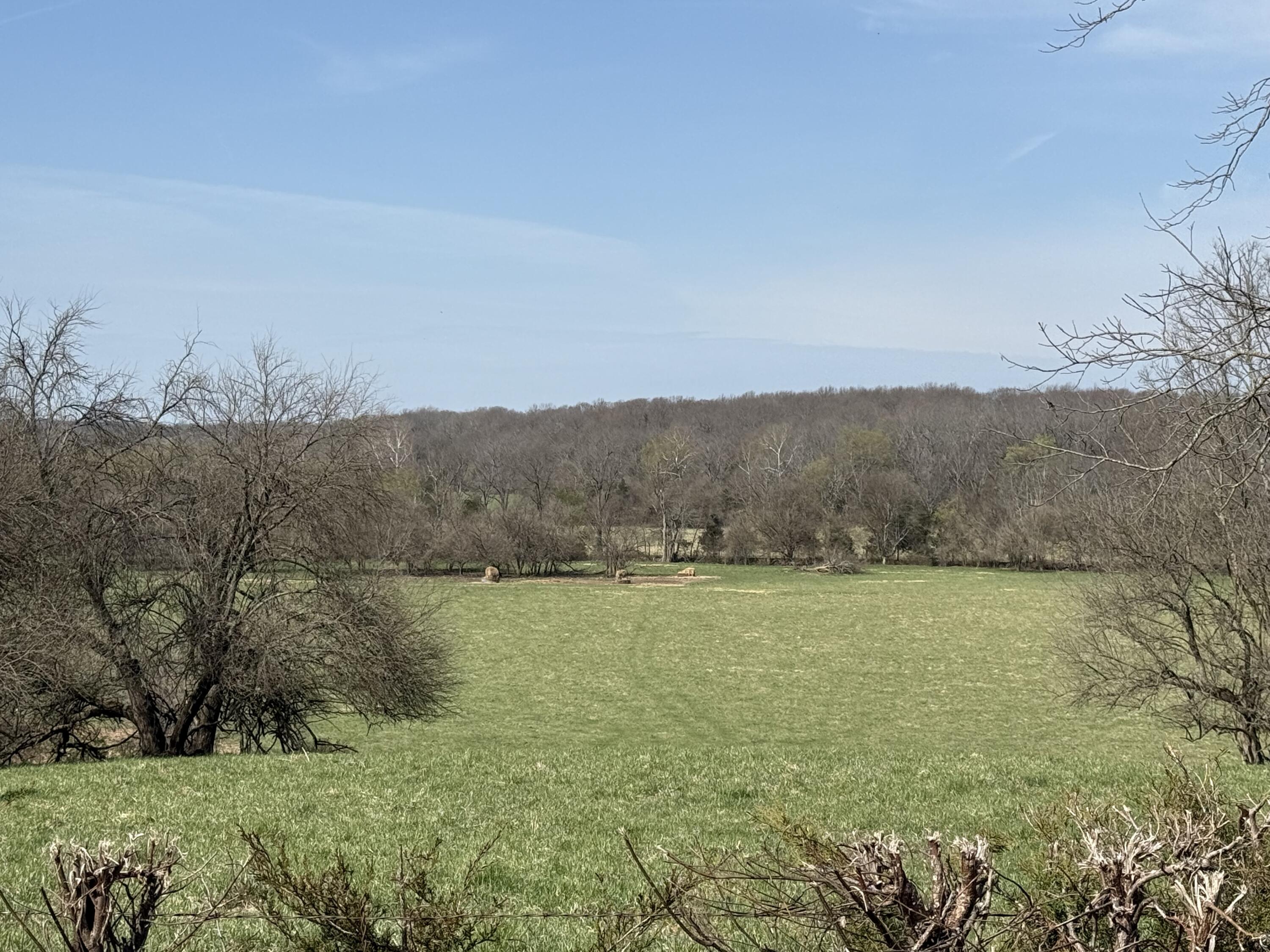 What a great farm.  This farm on 163+/- acres is conveniently located West of Republic on WFR 168 and Farm Road 55. The over 3000 square foot home built in 2022 overlooks the Pickerel Creek and the fertile Bottoms to the North. The home offers granite countertops, Back-up generator, oversized garage, sunroom with HVAC huge walk-in closet with built ins and so much more. The retired bank barn would be great for livestock and storage. The fenced and cross-fenced pastures have been very well maintained and offer grazing and hay production
