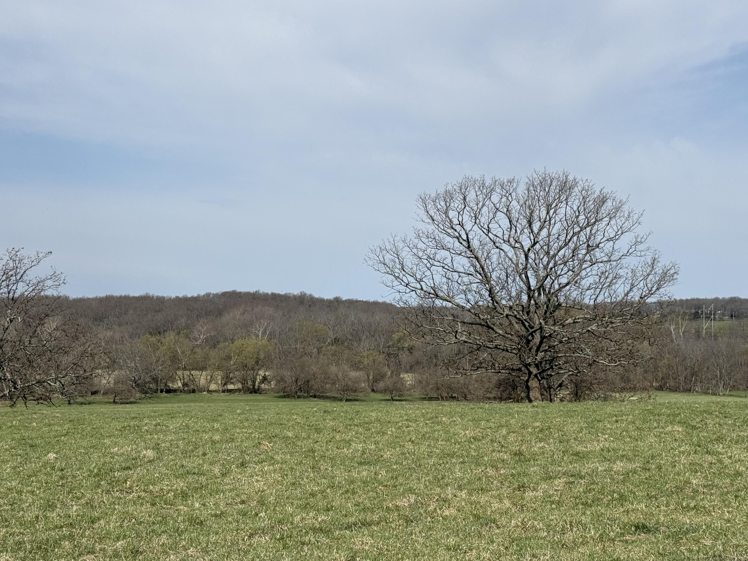 N/A - Farm