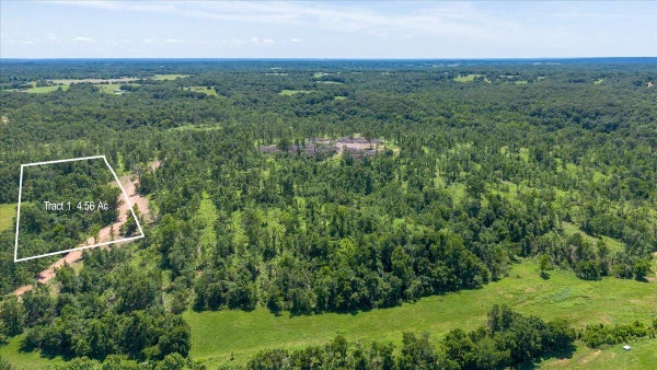 69 ADAMS RD, GOODMAN, MO 64843 - Image 36f37de47d9a6a6a1acec8d2a6741a73/564555084
