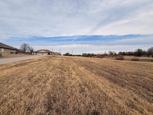 RAINTREE CIR, JOPLIN, MO 64804 - Image 37d6e8e6bcc96c54e21303b64b7b97d7/1420563085
