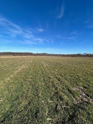 HOLLY RD, PIERCE CITY, MO 65723 - Image 39f8d7a765429f08fdb9776e67b6da96/695470095