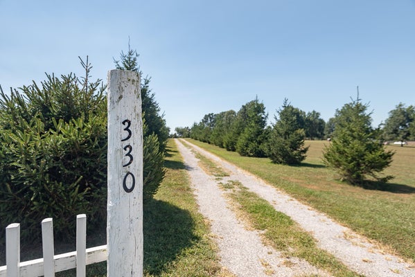 330 CEDAR VIEW LN, CLEVER, MO 65631 - Image 3b8030c8d1a56b2f0d03343af7ba4b65/2138168780