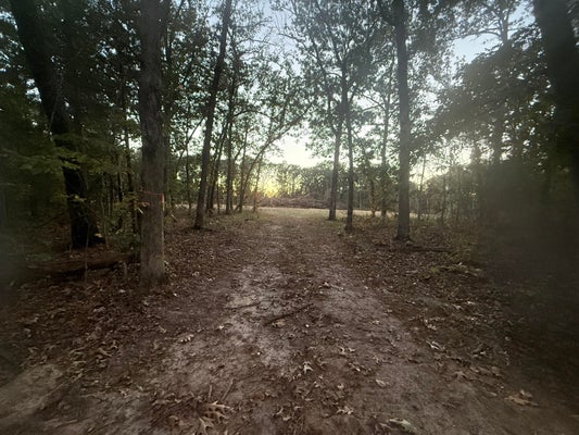 000 E FARM ROAD 52, FAIR GROVE, MO 65648 - Image 3bdcb294537bb1f7ce4798ec95d1af58/3660767172