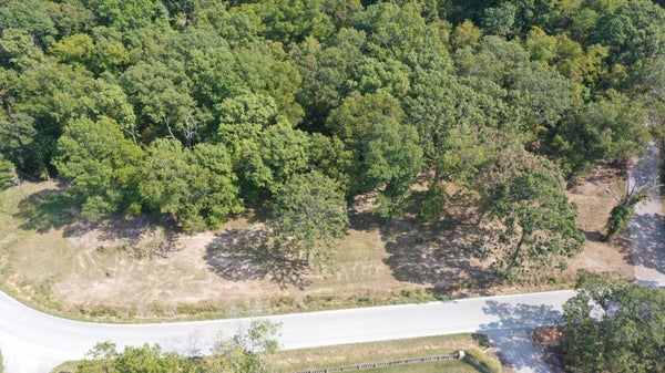 35 BLACK OAK RESORT LN, LAMPE, MO 65681 - Image 3c367b60b49066fe0fa5e0ae7bb940c5/2245017393