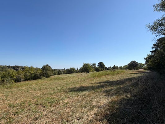 001 GREENTOWN ROAD, BUFFALO, MO 65622 - Image 3f1514d34da75e62ec6f9366fed79ec9/639188000