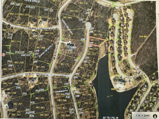 224 BLUE LAKE TRL, REEDS SPRING, MO 65737 - Image 3f306e5348a8a218ab97618ca6b81032/3321089928
