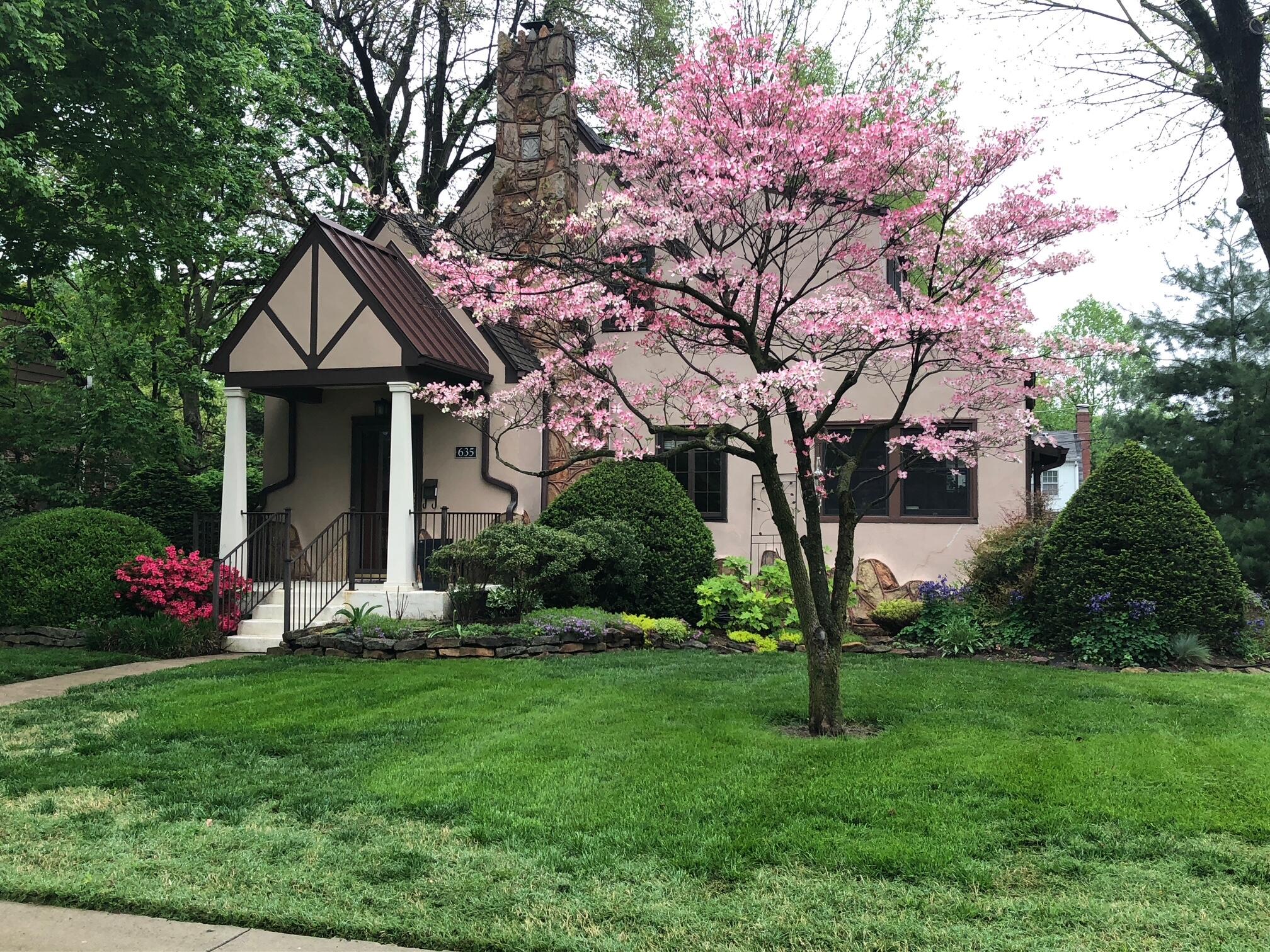 This incredible home in University Heights is just waiting for you!  The stucco and stone 1927 house has all the charm of that era, with the modern conveniences you want.  The main floor features a living room with hardwood floors, built in shelves, a gas fireplace, french doors into a sunroom (used as office or study) with lots of light and a separate entrance.  There is a main floor bedroom which is currently used as a den, and a main floor full bathroom.  The formal dining room continues the beautiful hardwood floors and neutral wall covering and is perfect for entertaining.  The galley style kitchen features solid counters, gas stove, built in microwave, and dishwasher.  Open the back door to a big surprise - a covered, screen gazebo attached to the house!  This is a perfect spot for bug free cookouts, evening wine, or morning coffee and conversations.  The upstairs foyer area is ideal for a second office or teen hangout.  One of the upstairs bedrooms overlooks the backyard.   The second upstairs larger bedroom has built in cabinets and closets and features two window seats for reading or kitty perches.  The upstairs bathroom with heated floors   features an oversized STEAM SHOWER with tile, bench and glass door.  The unfinished basement has the laundry hookups and the hvac system.  Picture a pool table down there for entertaining.  The one car detached garage is just a a few steps from the house. You will look long and hard before you find a home so lovingly cared for by its owner of 30+ years.
