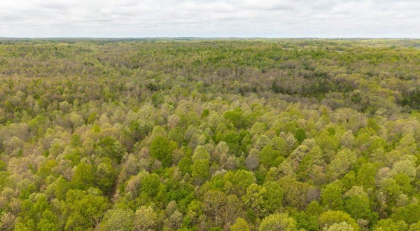 CASS RD, HARTVILLE, MO 65667 - Image 3fc297cca96229ddb7ebafd45e827917/1494813544