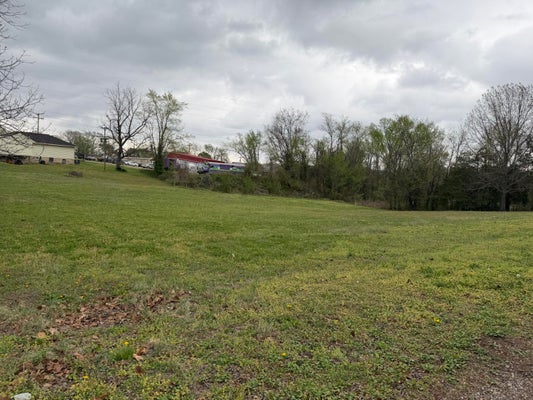 E 4TH ST, MOUNTAIN VIEW, MO 65548 - Image 4049fcc5acd584d3ccc4c3d32a2c0bf4/3780993897