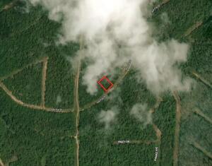 352 ASH FLAT DR, ASH FLAT, AR 72513 - Image 40ba643a9677e150aed1ec2671ea467b/40044270