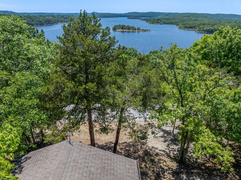 Photo of 373 Jackson Hollow Road, Galena, MO 65656 (MLS # 60324461)