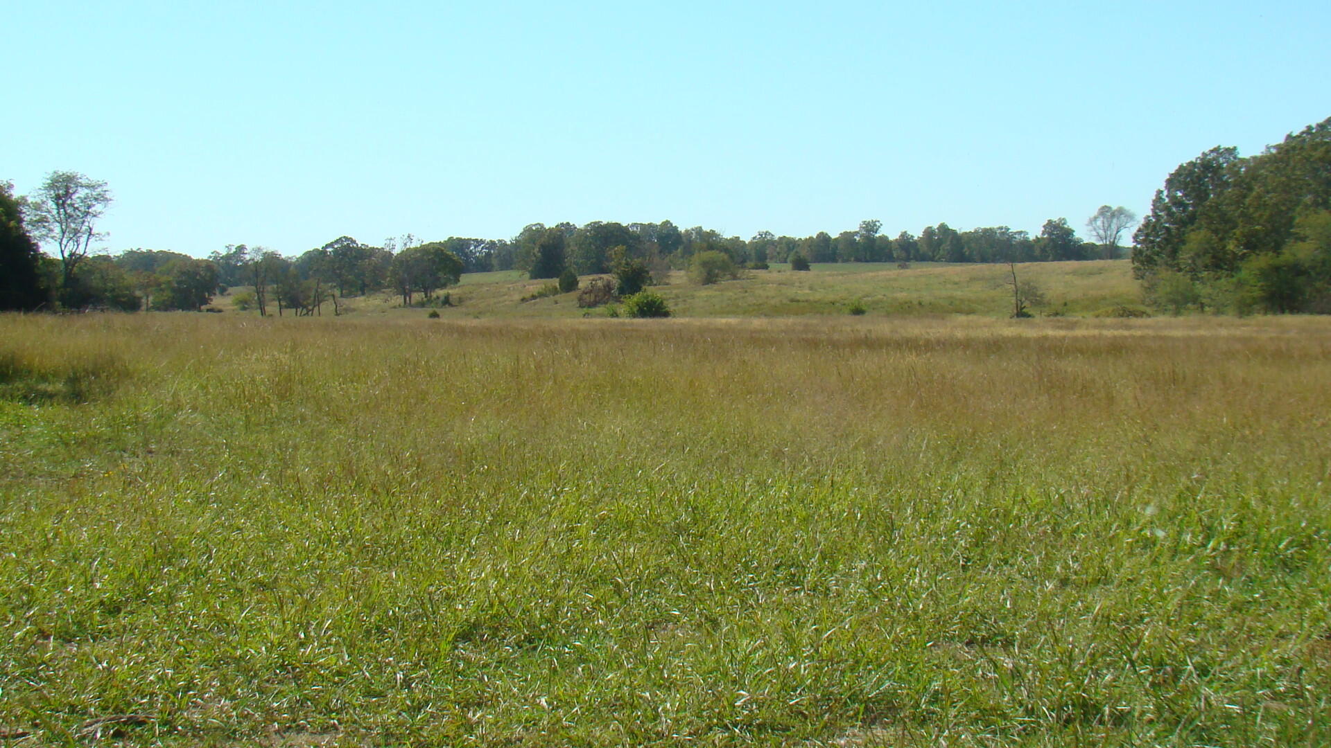 N/A - Farm