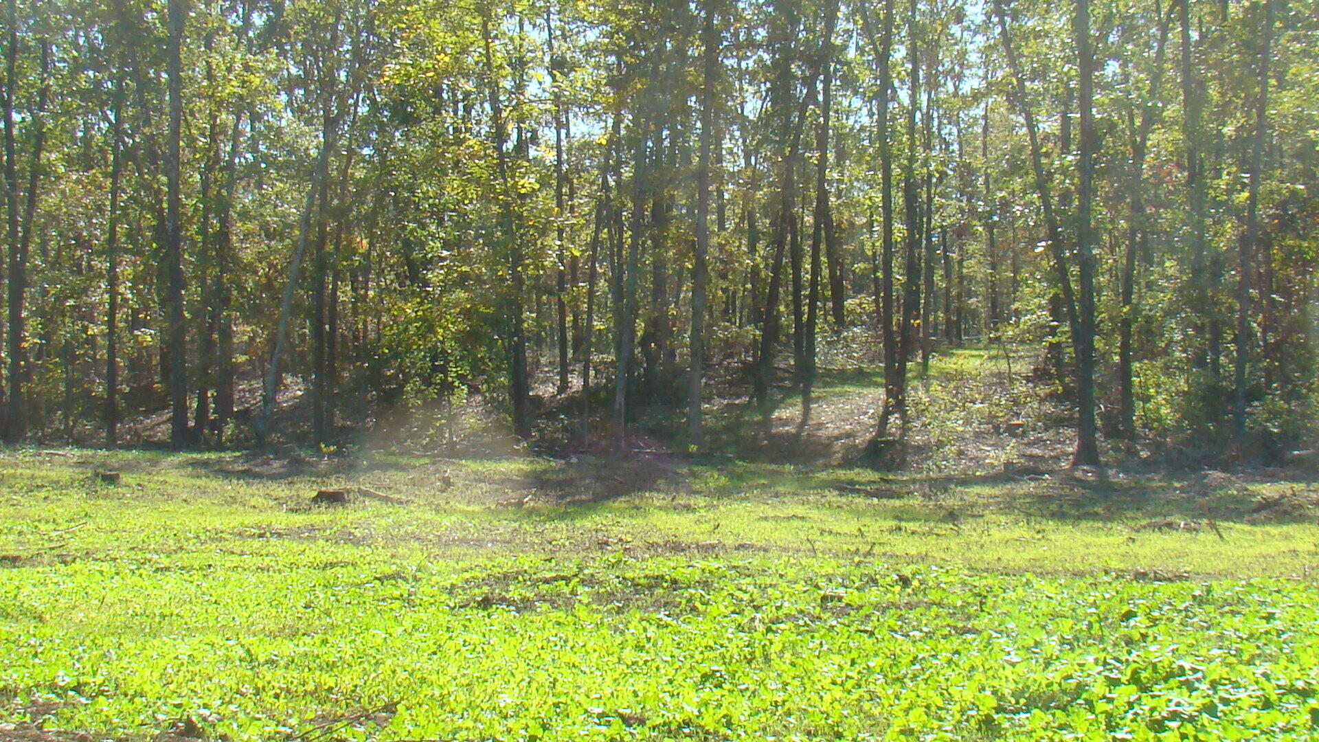 N/A - Farm