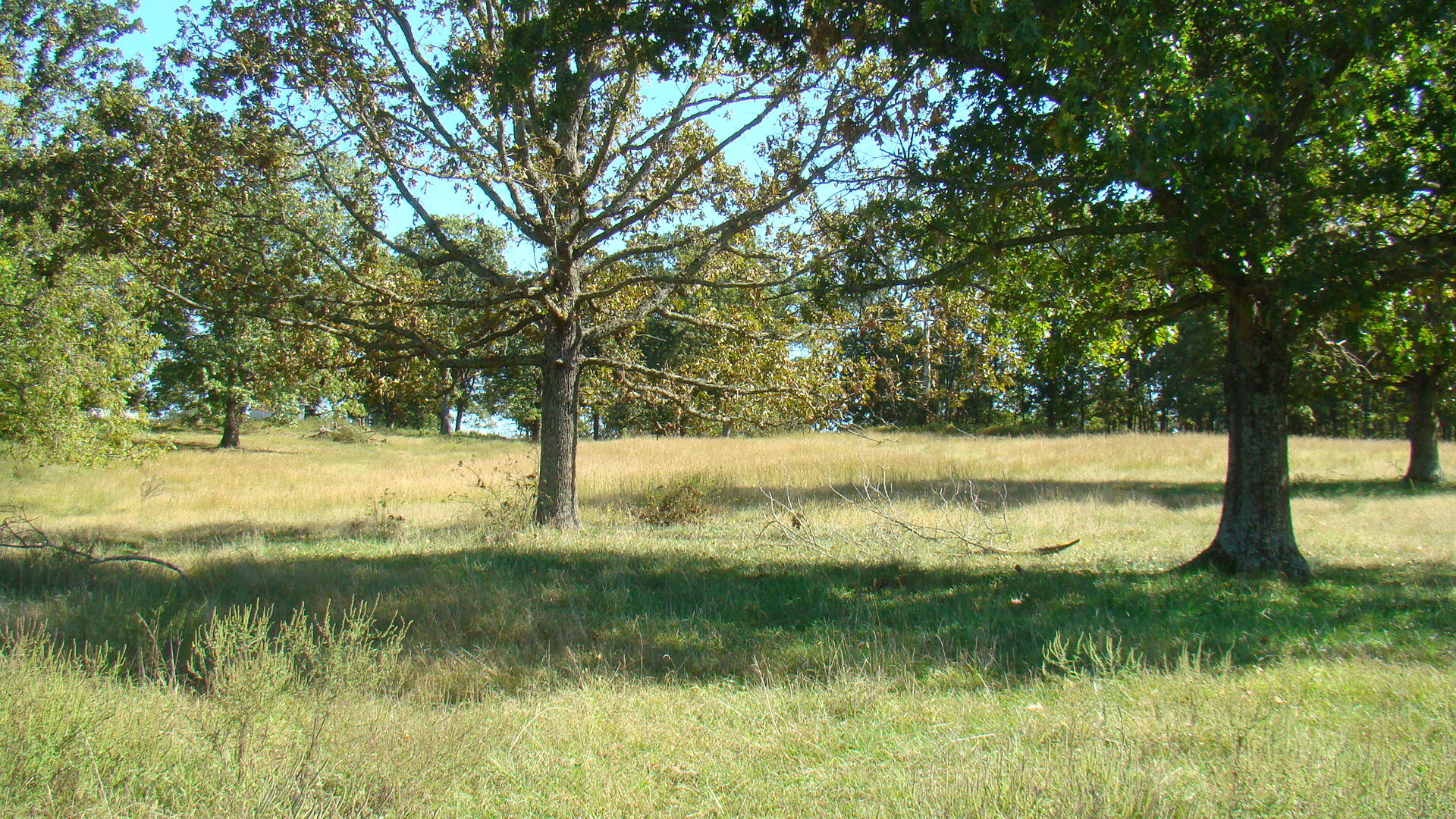N/A - Farm