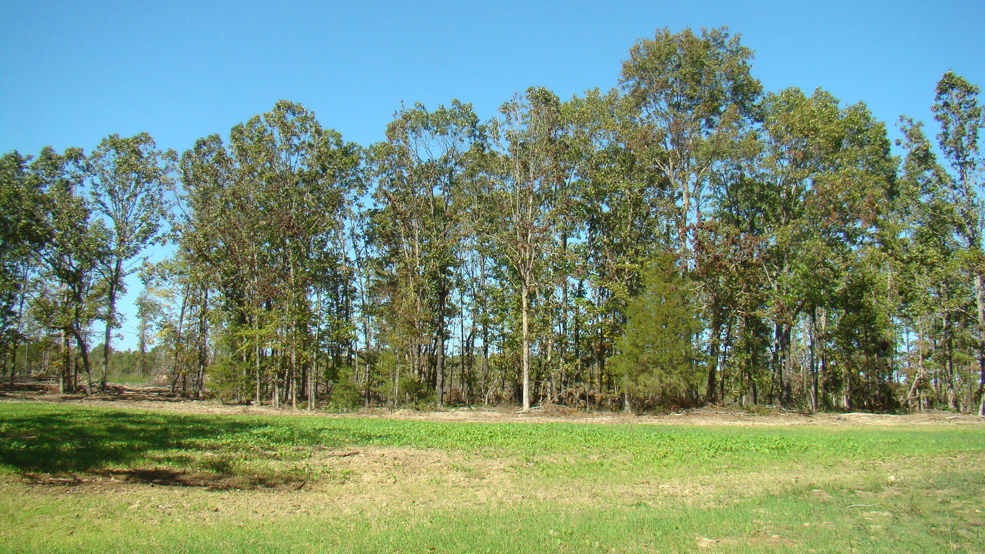 N/A - Farm