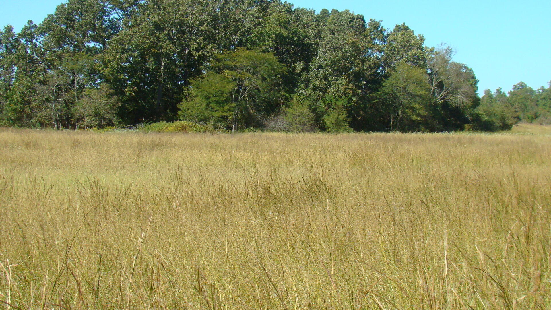 N/A - Farm