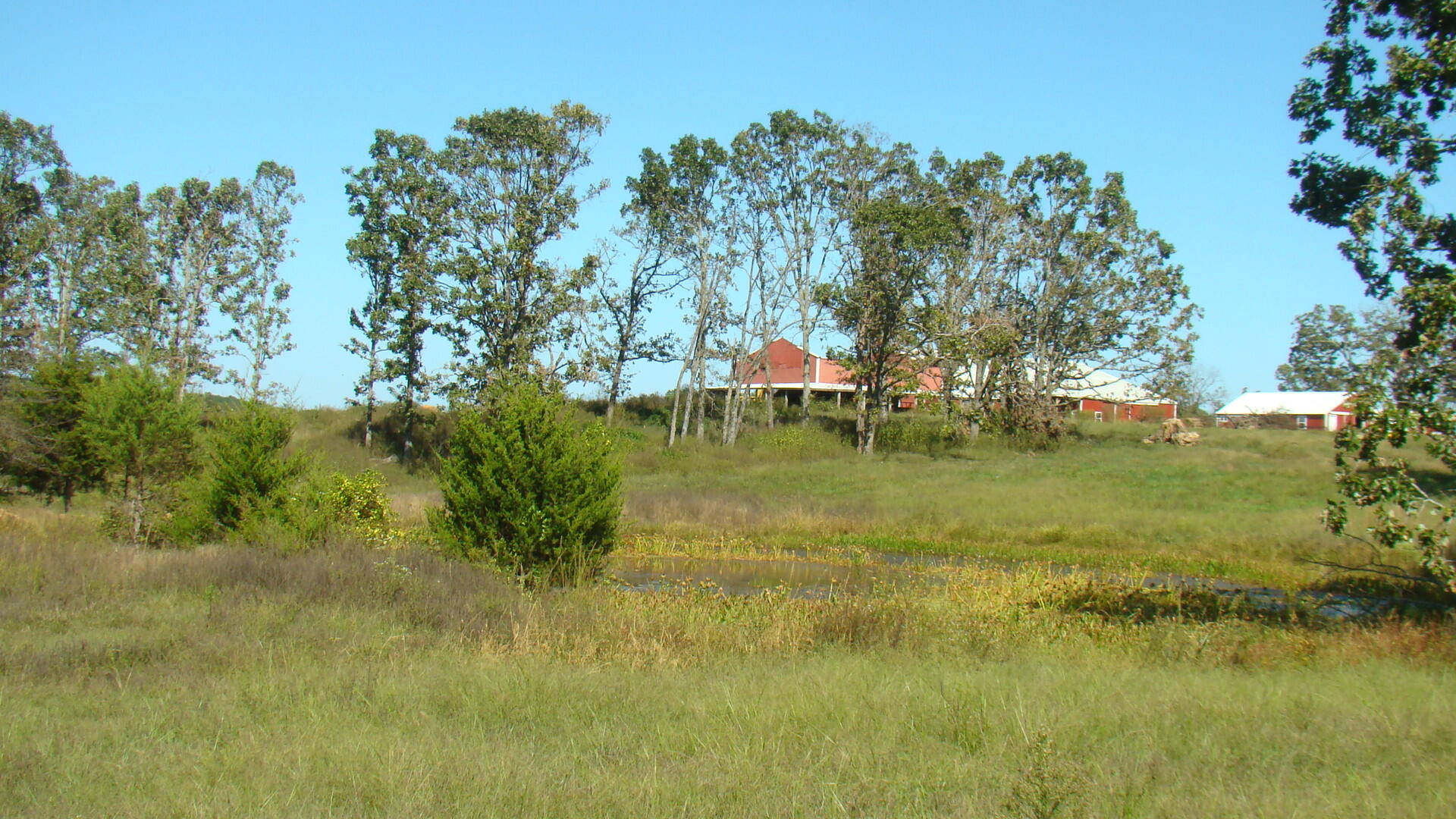 N/A - Farm