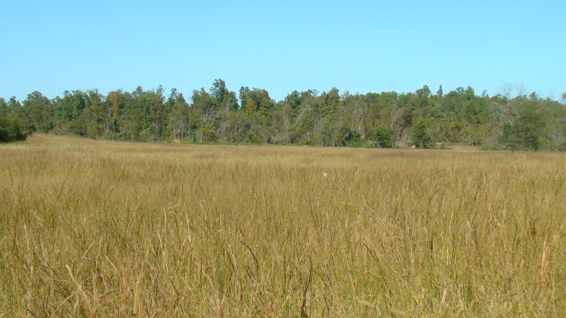 N/A - Farm
