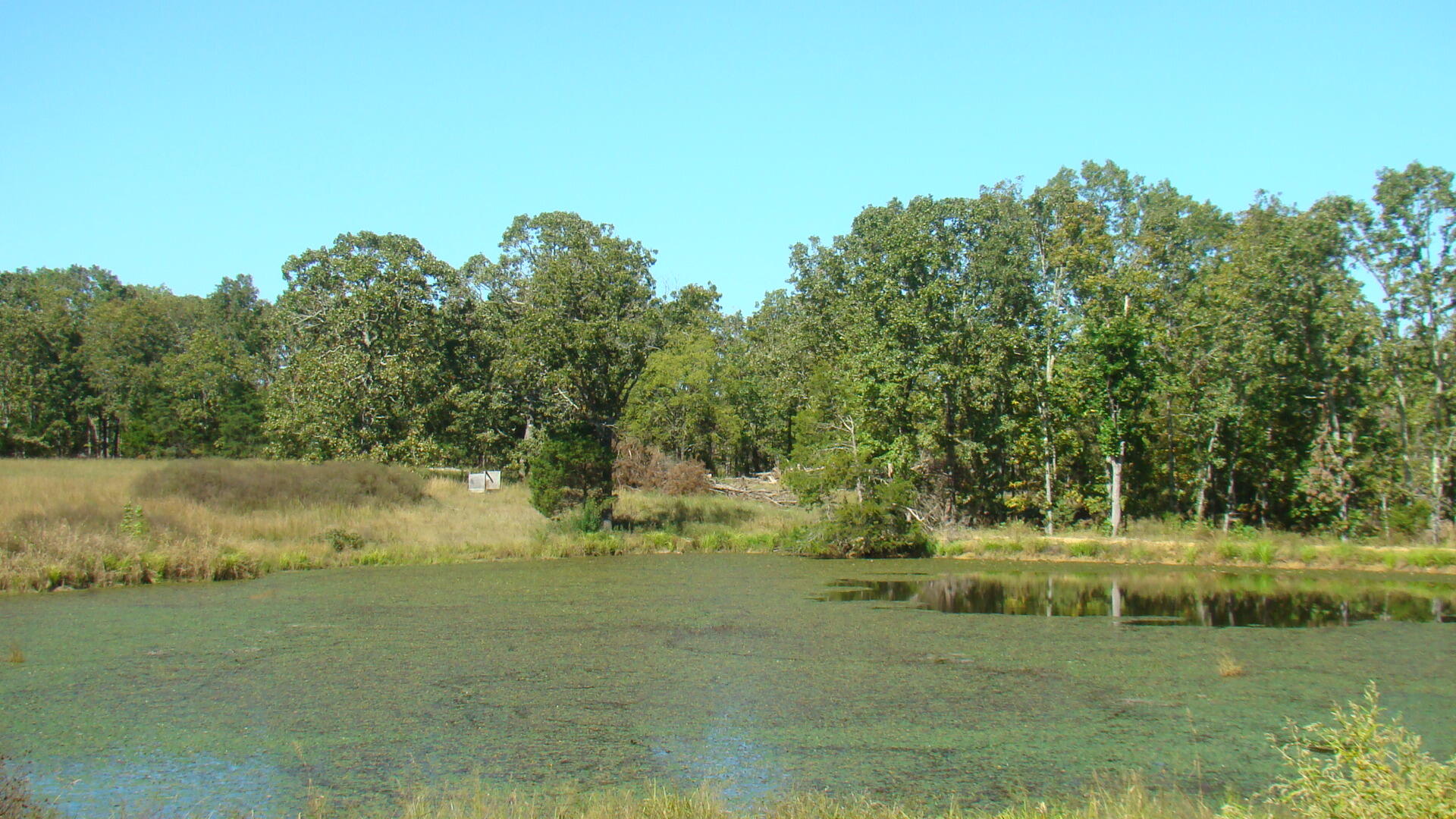 N/A - Farm
