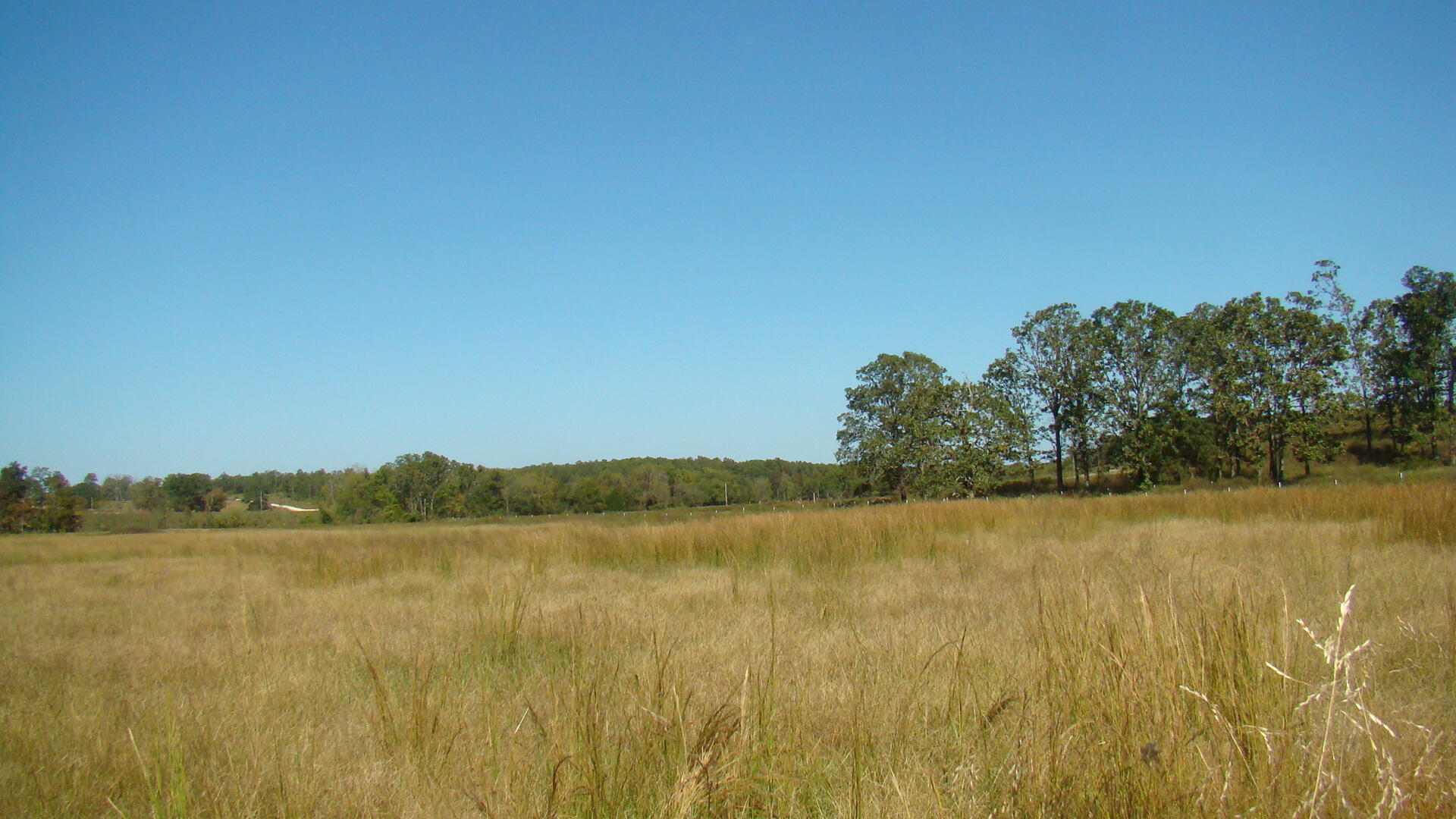 N/A - Farm