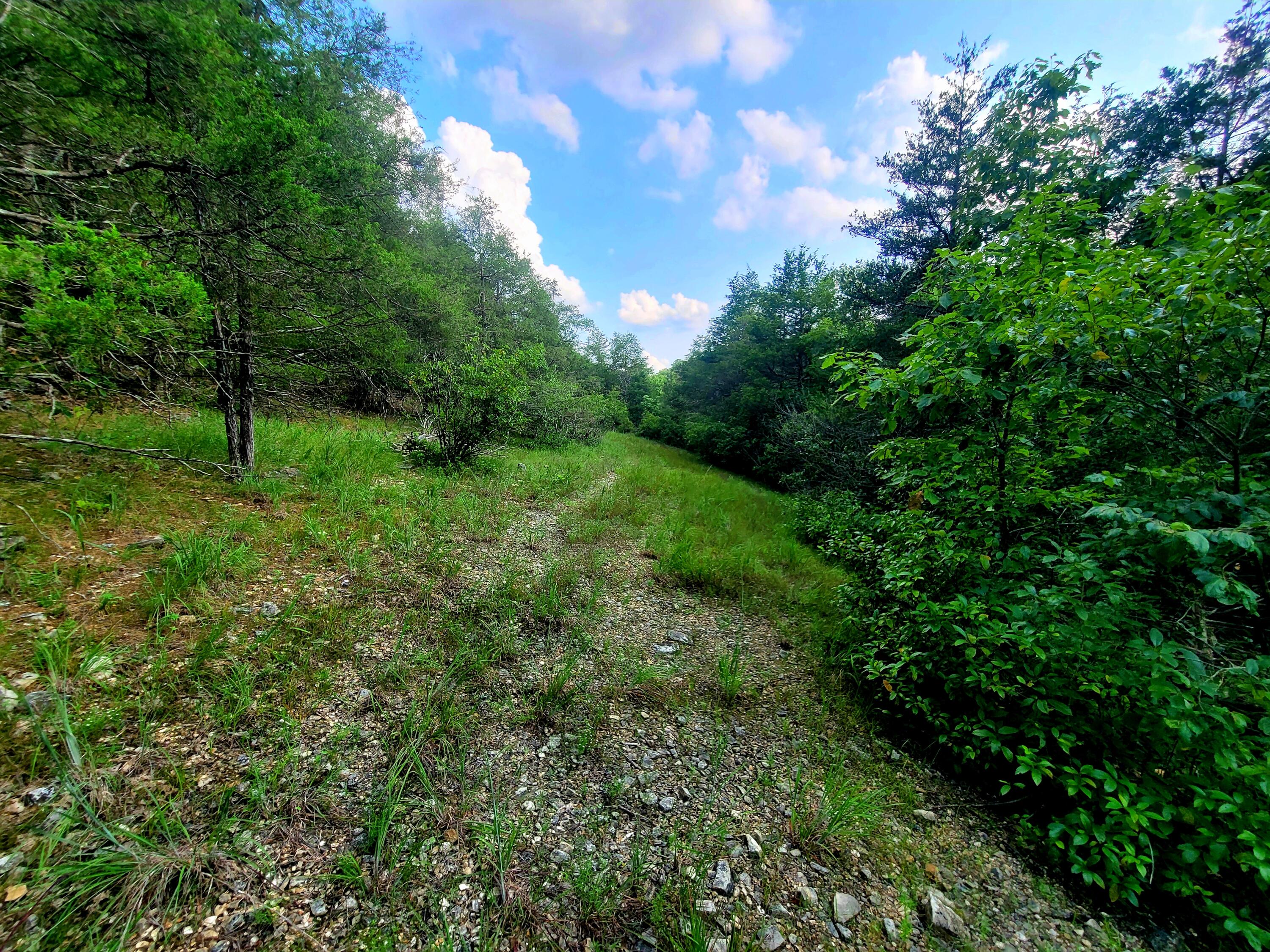 Saddlebrooke - Land
