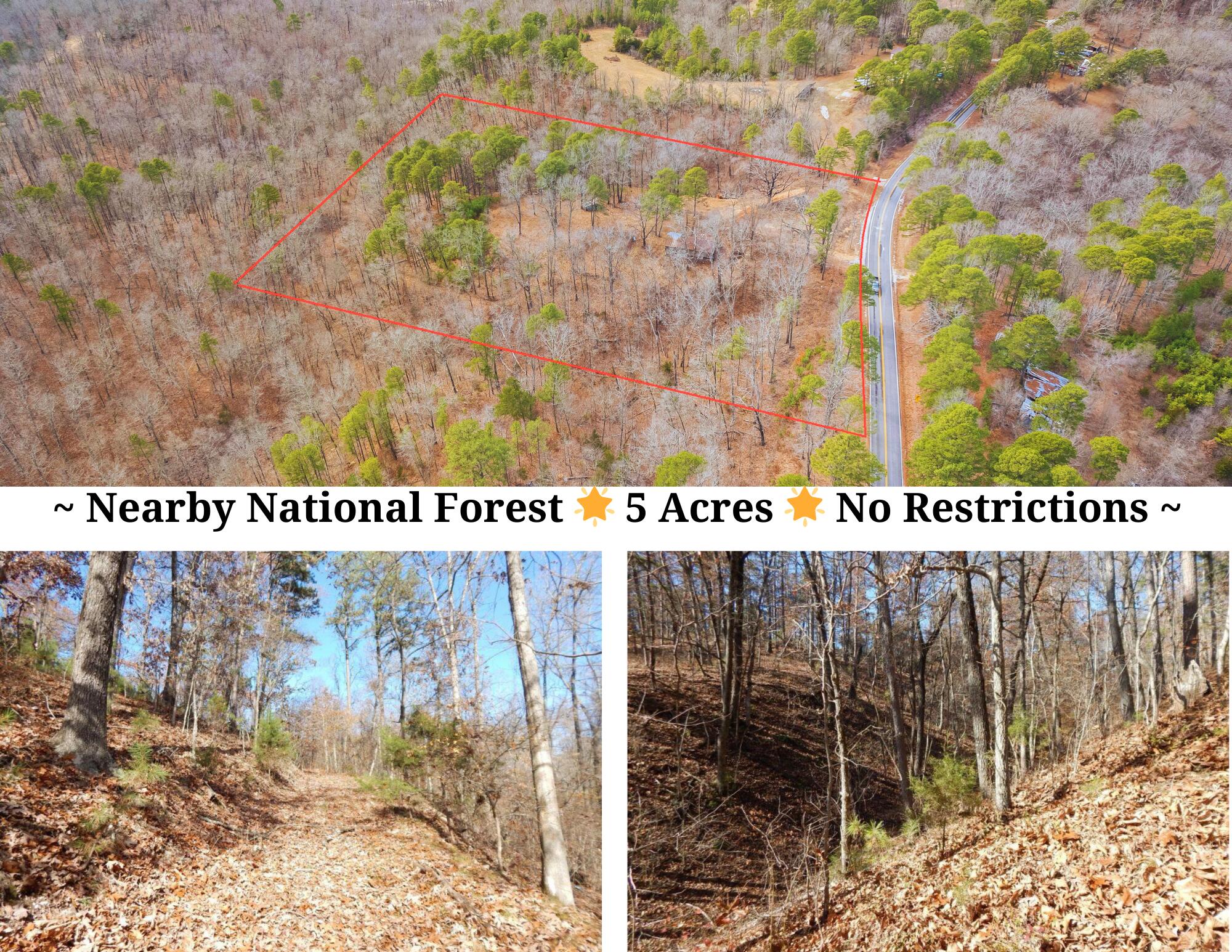 Listing image 6