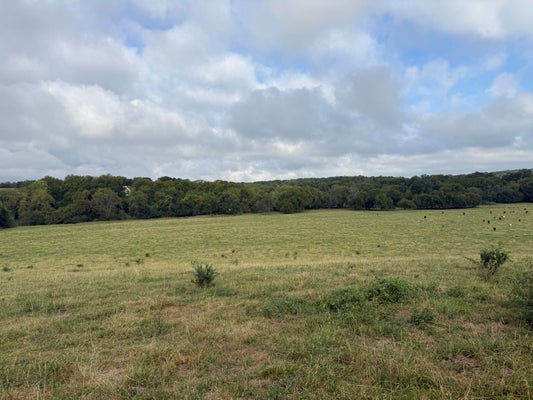 S FARM RD 55, REPUBLIC, MO 65738 - Image 4494acdf5ec00b2132fa502d6ce9fd9b/532771145