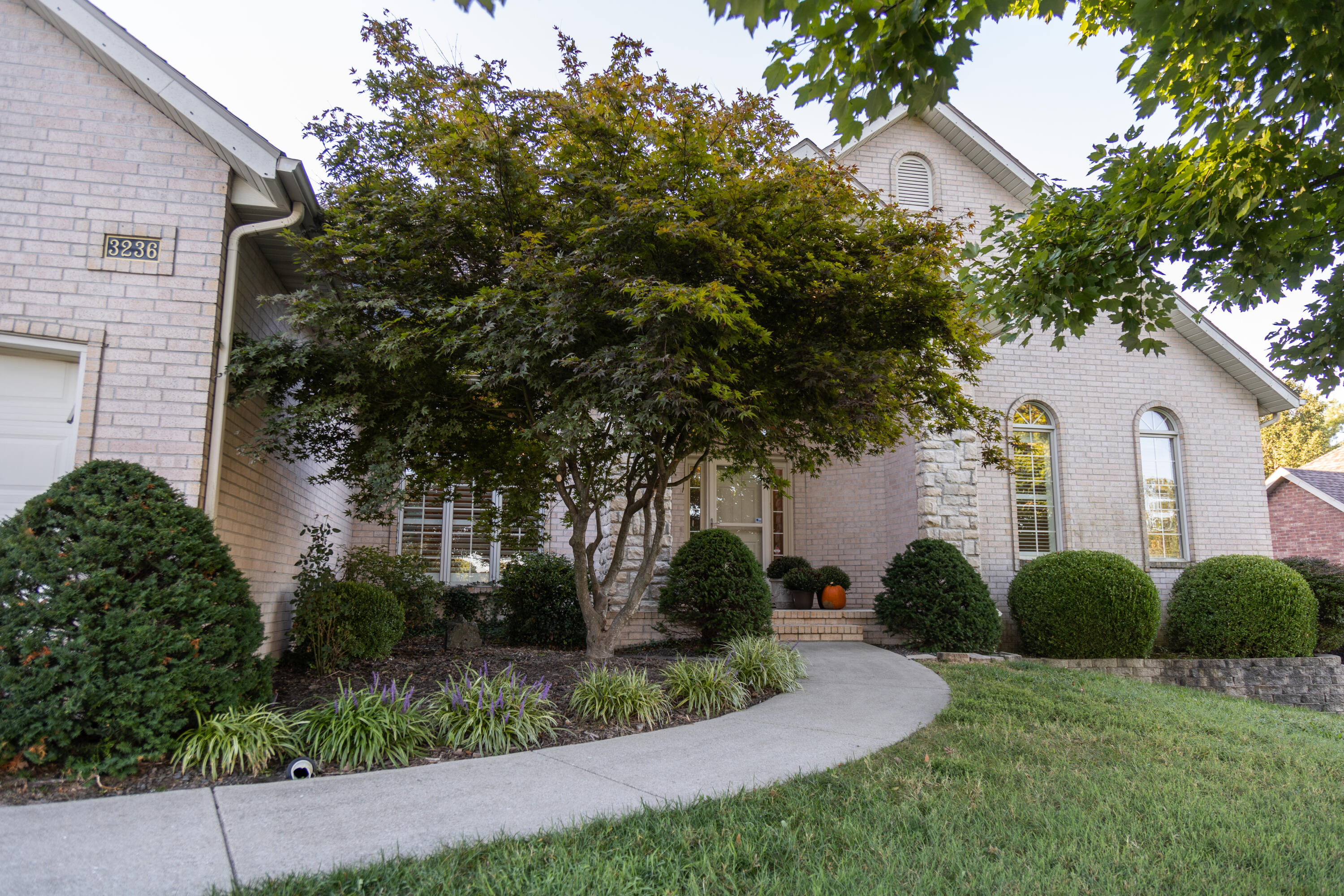 Fox Grape - Residential