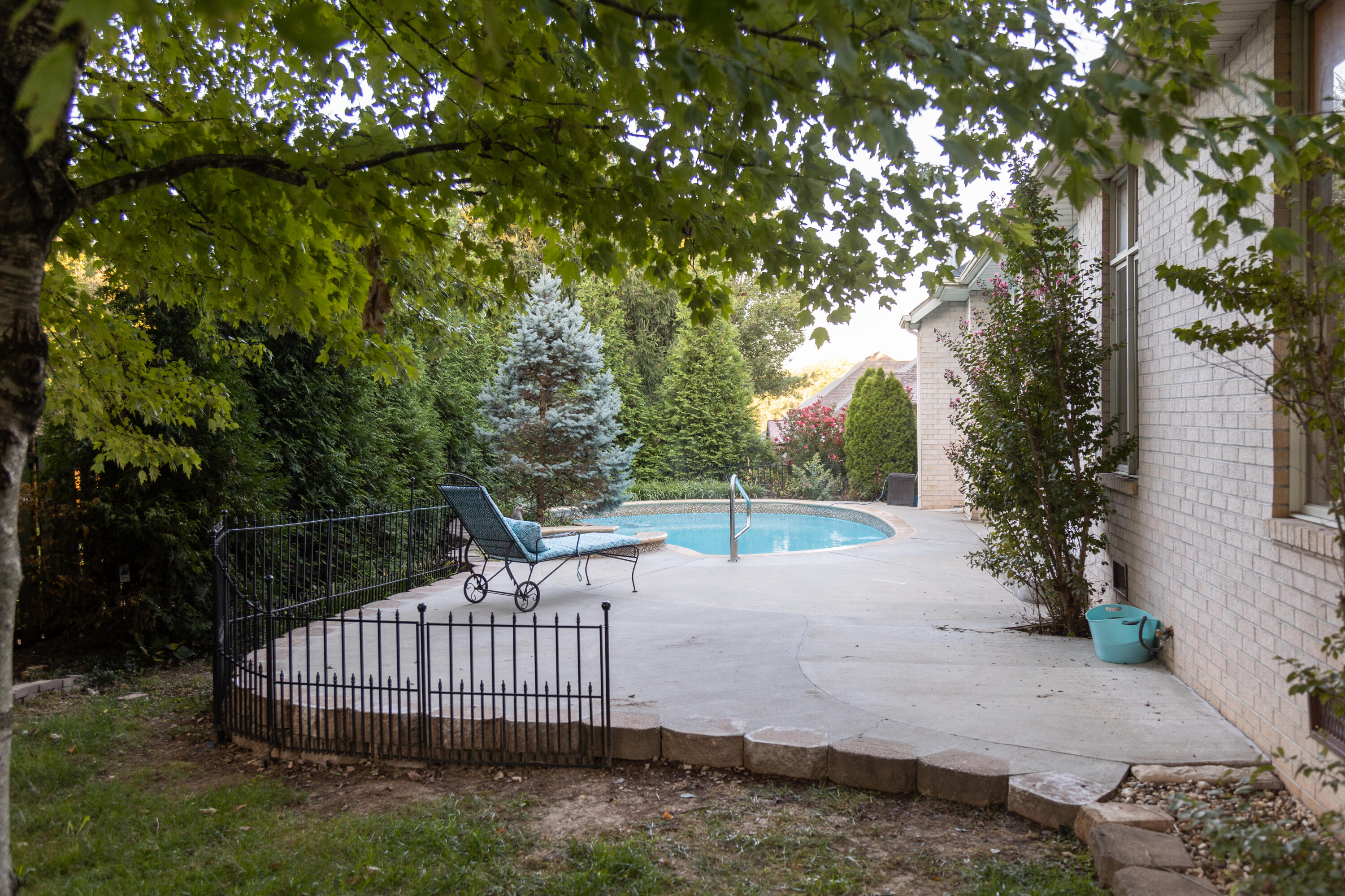 Fox Grape - Residential