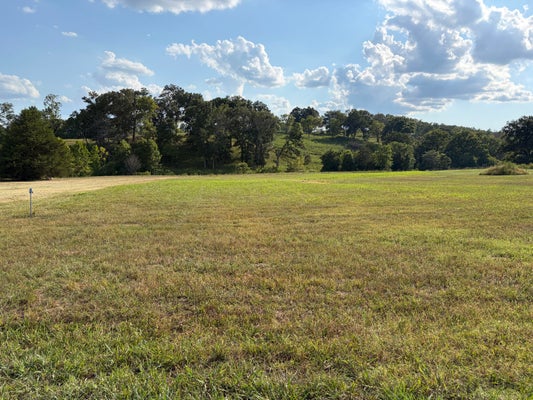 27 SPRING LAKE DR, MAMMOTH SPRING, AR 72554 - Image 45a015f6a9fa7a64ed4b210f61d14dcc/2402449324