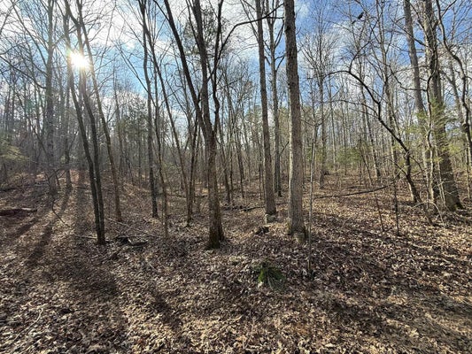 ADDRESS PRIVATE, EMINENCE, MO 65466 - Image 45e35b58d569b30ccf57ab5a64d5192a/867068563
