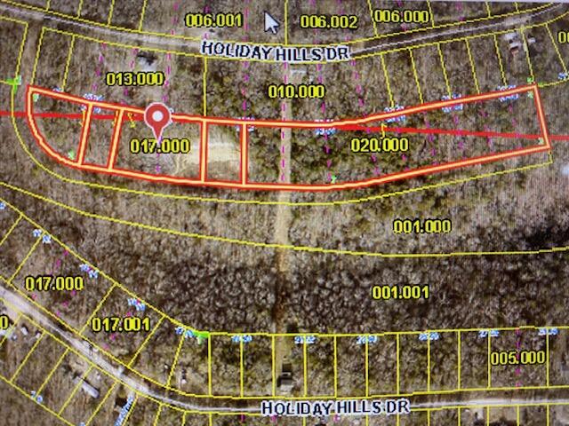 4.25 +/- Acres located in Holiday Hills Subdivision with community water and electric available. Located minutes from Cape Fair Marina and Kimberling City!! Don't miss this one!!