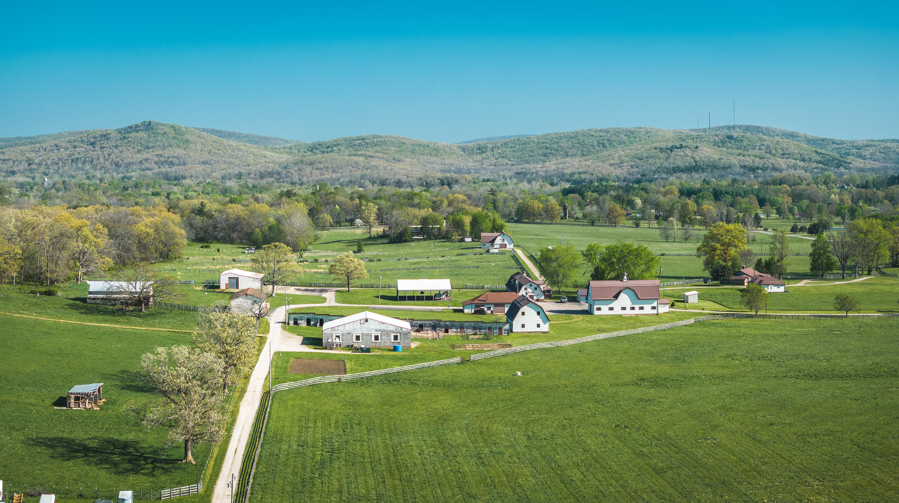 260 Kentucky Derby Lane