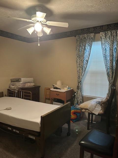 Ben Avon Hts - Residential
