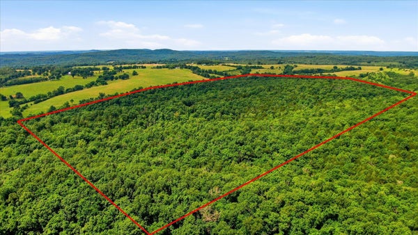 406 HORNER DR, BRADLEYVILLE, MO 65614 - Image 4a476dba718b796ad7ca218bd74d42bc/1298171898