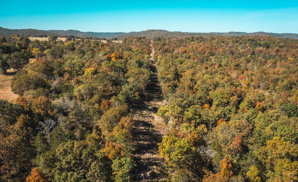 GUNNISON RD, KIRBYVILLE, MO 65679 - Image 4aa40e01007bdbbb765f33390a9afa25/4110551591