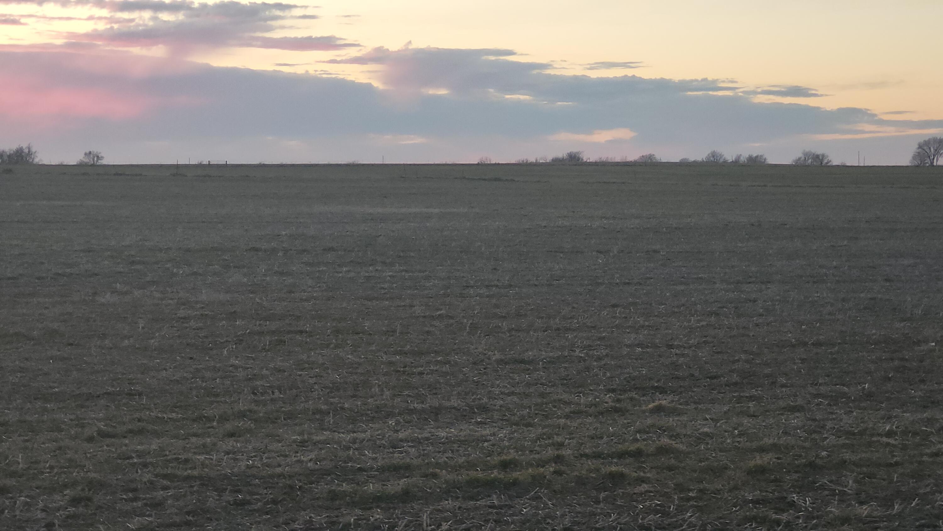 N/A - Farm