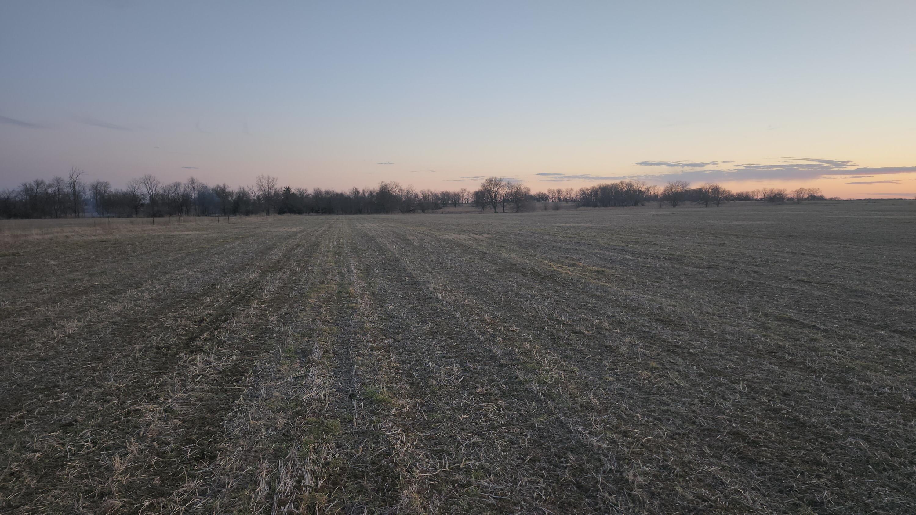 N/A - Farm