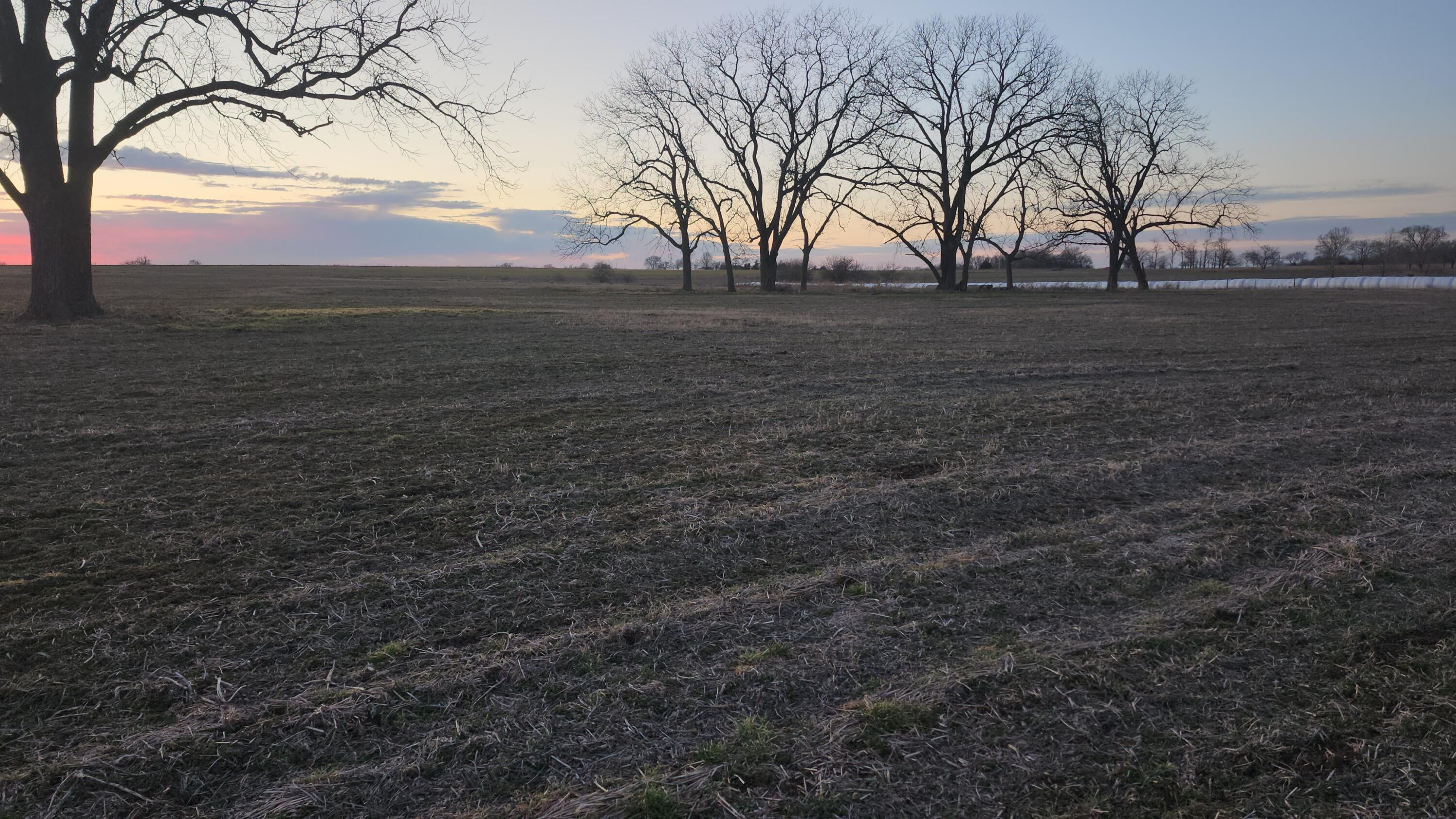 N/A - Farm