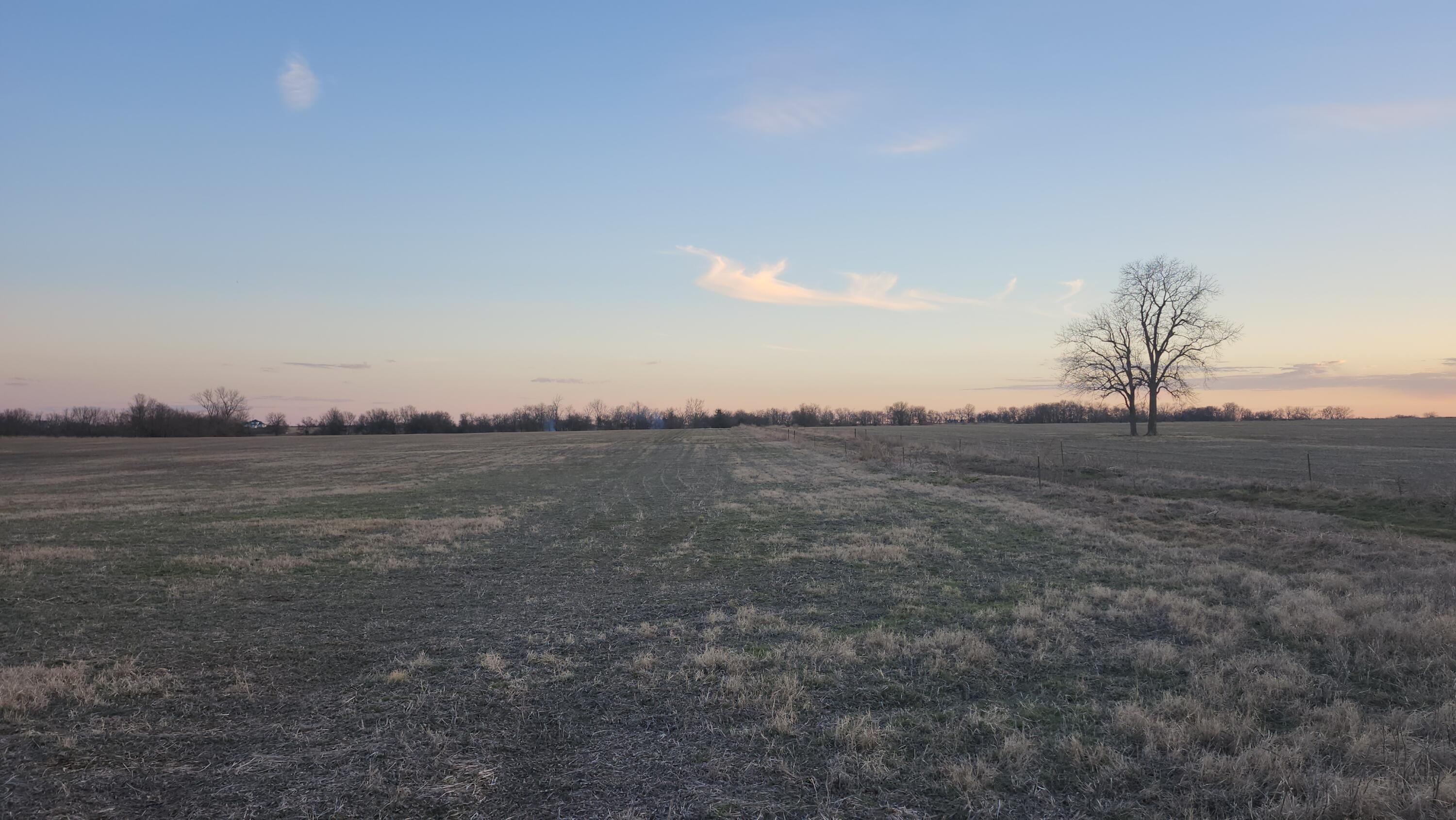 N/A - Farm