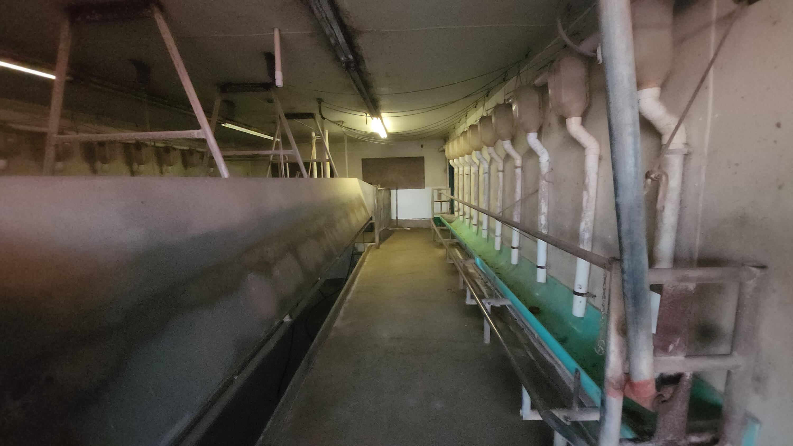 N/A - Farm