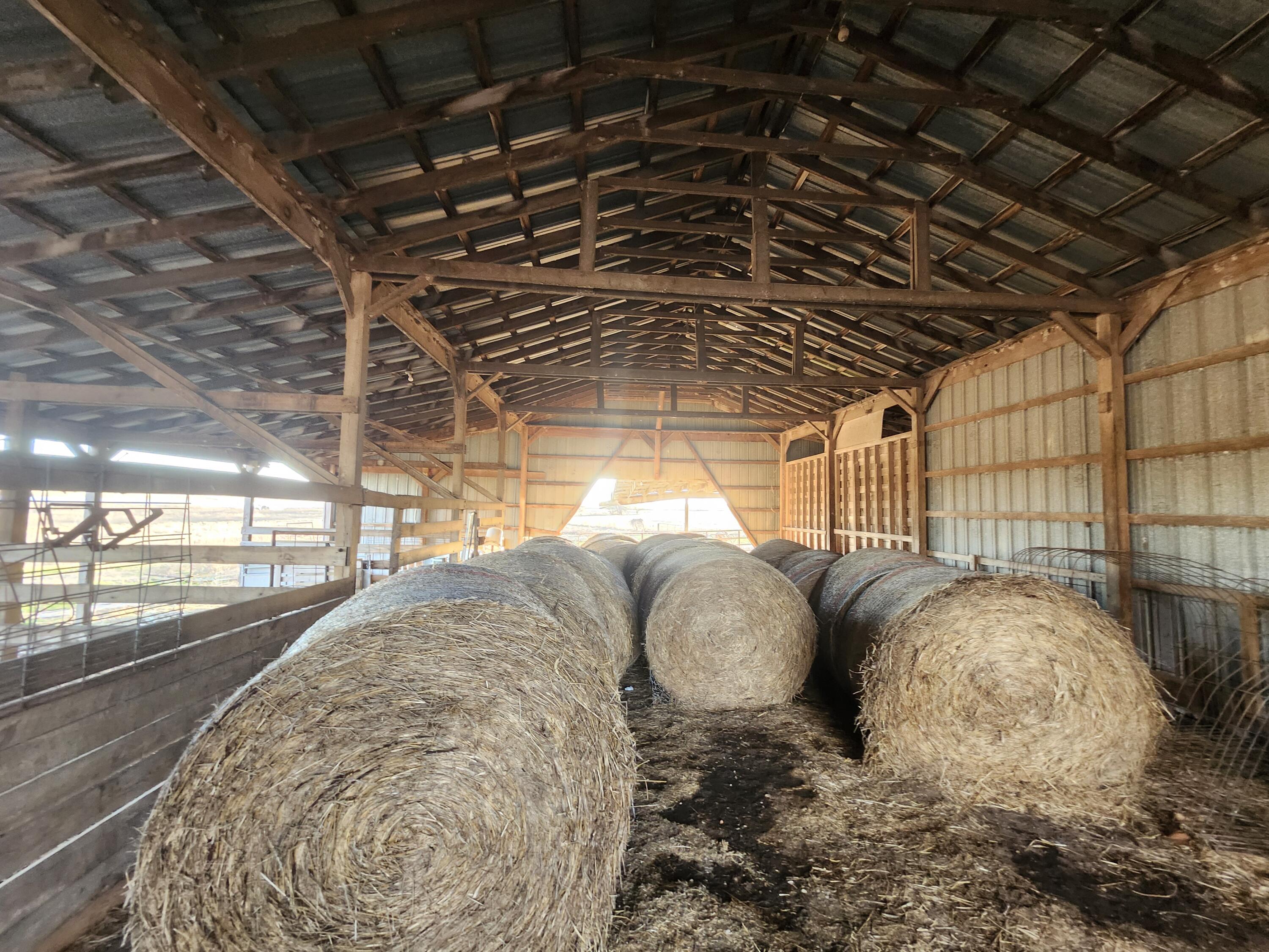 N/A - Farm