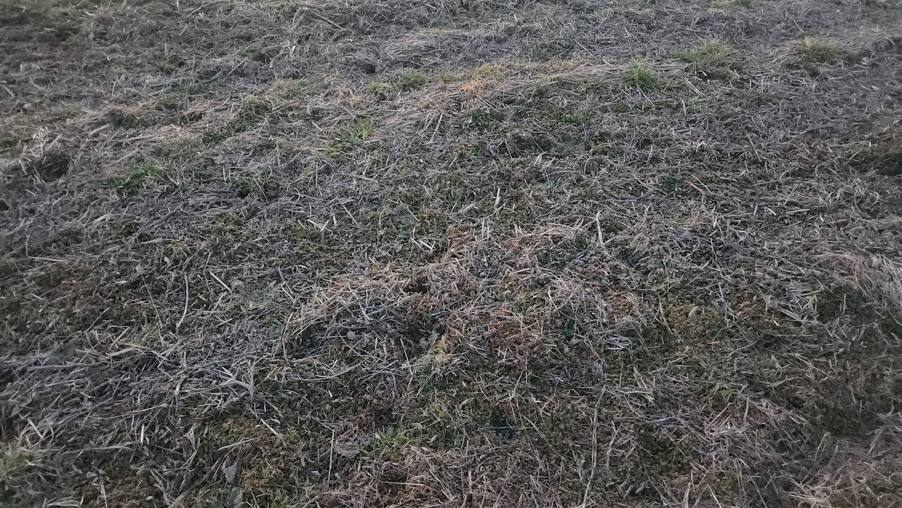 N/A - Farm