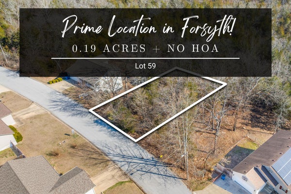 LOT 59 EAGLE DRIVE, FORSYTH, MO 65653 - Image 4b981506c7e2a99cdebb5483de6c115d/3032564063
