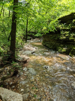 000 COYOTE RIDGE ROAD, CASSVILLE, MO 65625 - Image 4cbef7e5823dd80618ac1f3dd77fe9b8/61803336