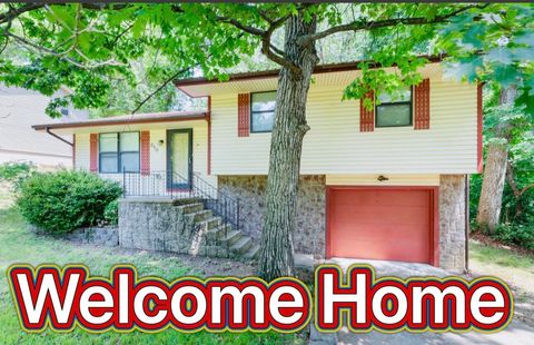 Photo of 610 Pocahontas Street, Branson, MO 65616 (MLS # 60324216)