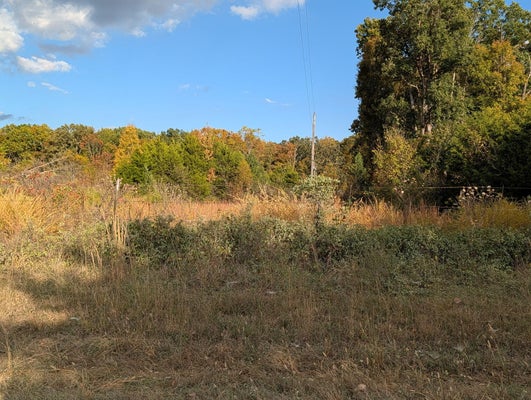 122 ZENAR RD, FORDLAND, MO 65652 - Image 4e4e74435cd43b2b4b49d11067b34077/1195595138